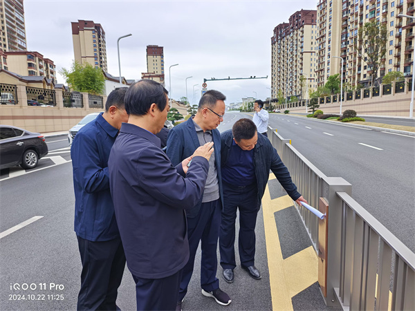 10月22日，洪董陪同汪凱書記一行到新安路調(diào)研.jpg